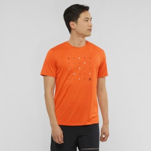 Salomon Agile Graphic Tee M Men's Tops Orange | UZSD-01654