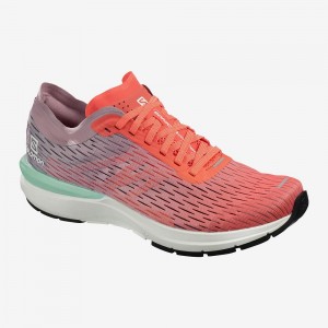 Salomon Sonic 3 Accelerate W Women's Trail Running Shoes Orange | ZWXE-24910