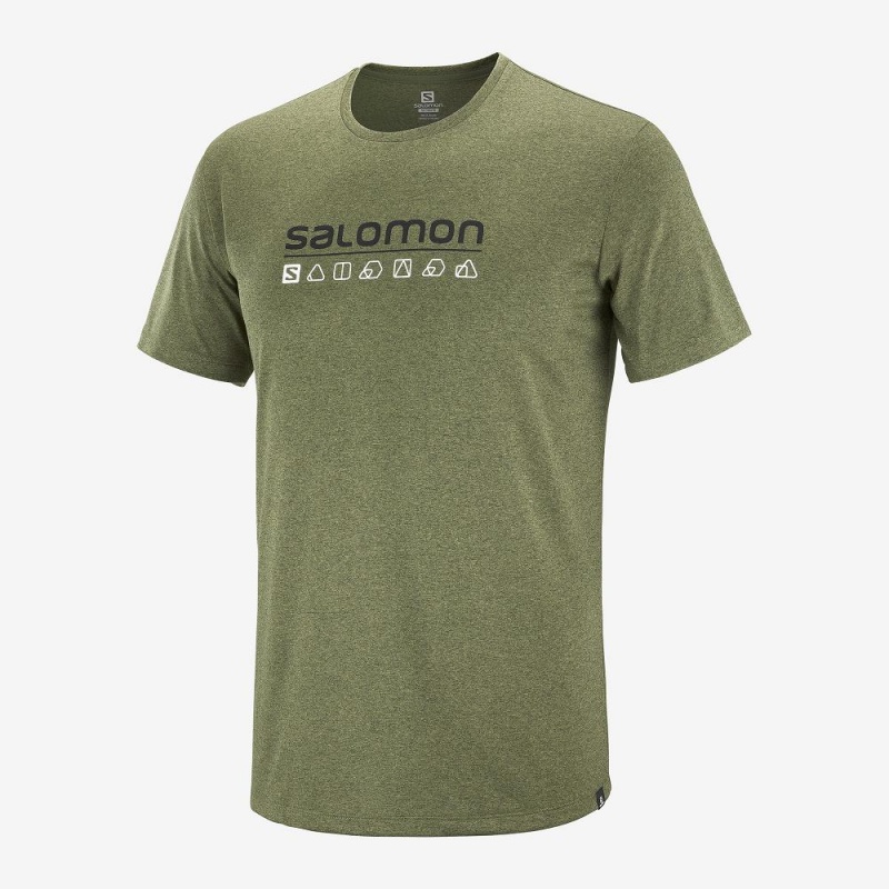 Salomon Agile Graphic Tee M Men's Tops Green | RGDP-71065