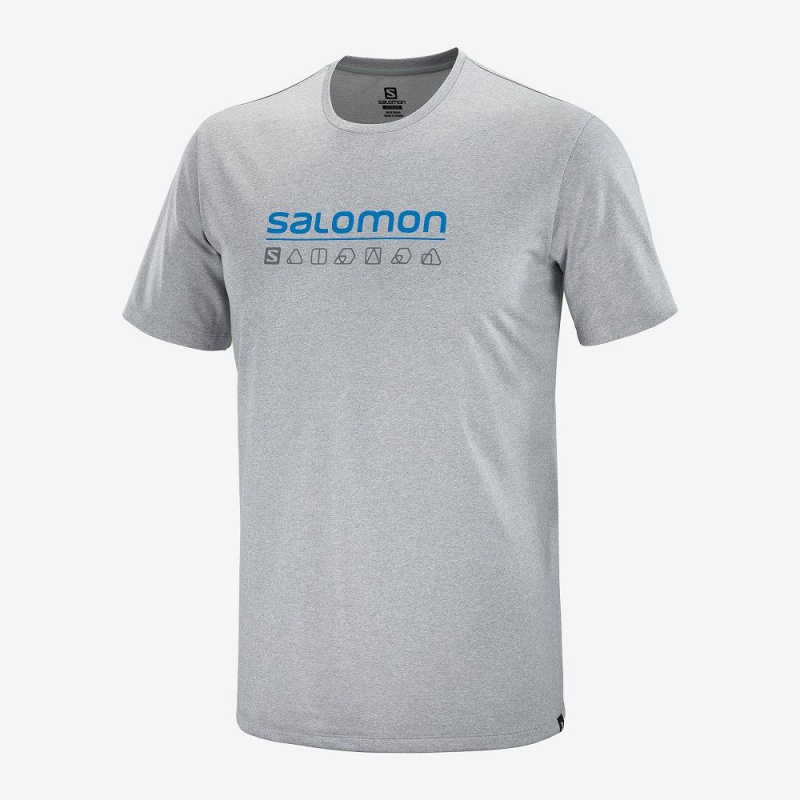Salomon Agile Graphic Tee M Men's Tops Gray | RTYW-70528