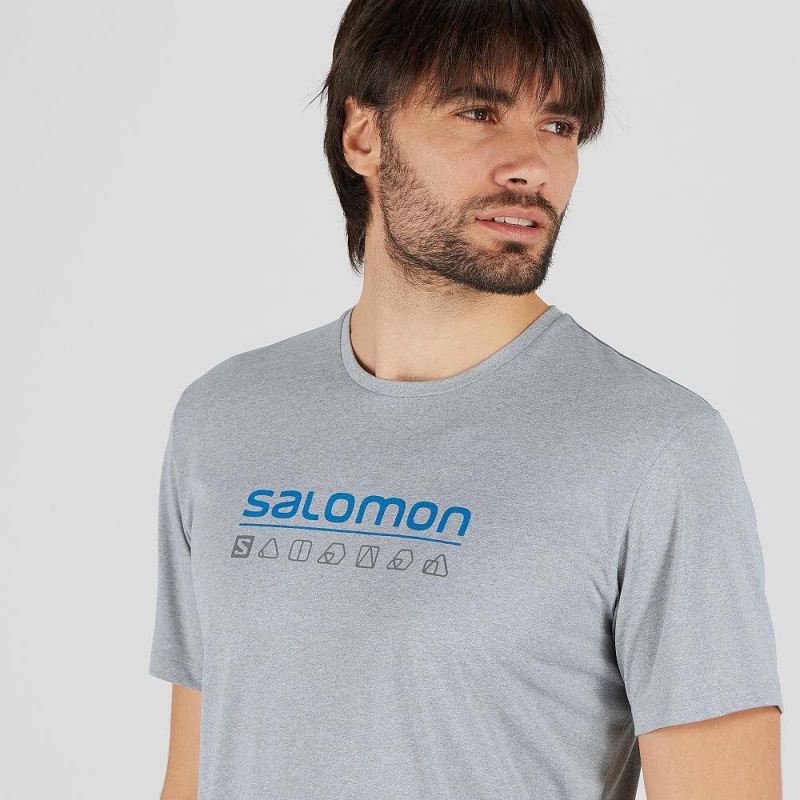 Salomon Agile Graphic Tee M Men's Tops Gray | RTYW-70528